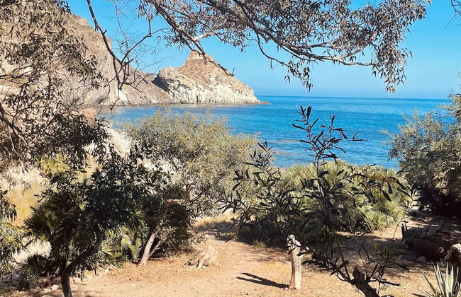 El sueño de Andalucia - Foto 59