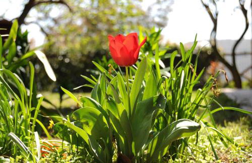 Casa Vacanze Mombrino - Foto 28