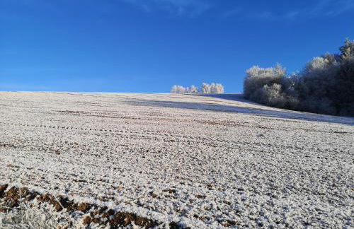 Schrauts Unwesen - Photo 57