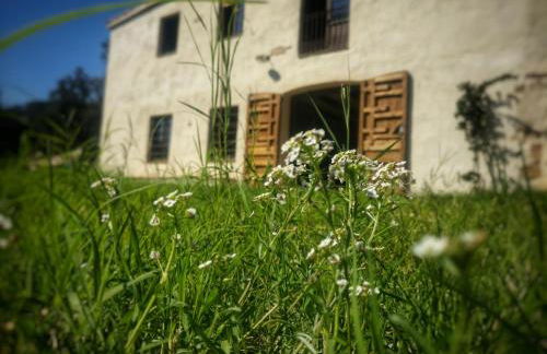 Masia Mediterranian Country House Ca l'Isidre Torrent - Foto 1