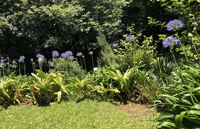 Quintinha de Palmyra - Foto 18