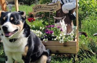 Ferienwohnung Glück Auf - Foto 17