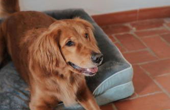 DONNA LAURA - Holiday Home - Foto 30