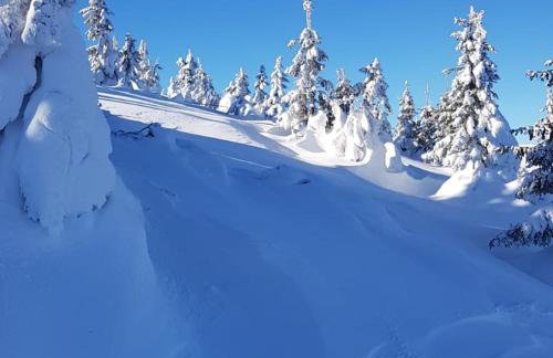 ŚNIEŻKA HOUSE - Foto 58