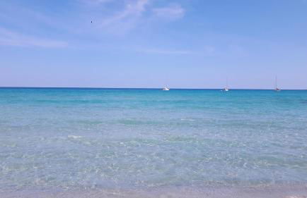 Il Glicine - Foto 26