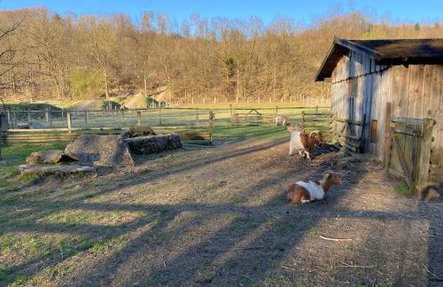 Gemütliche, moderne Fewo Hedi - Foto 8