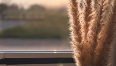 Nordisch Nature Apartments - Foto 3