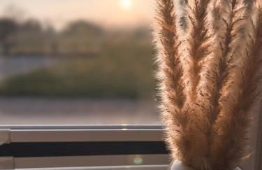 Nordisch Nature Apartments - Foto 3