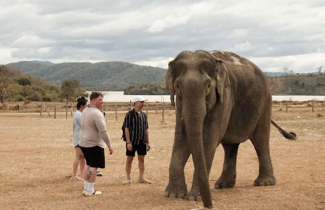 THE 47 HOUSE - Foto 73