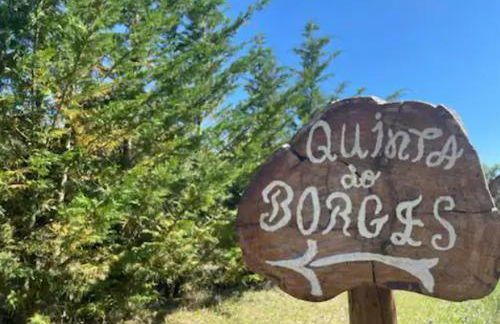 Quinta do Borges 2 - Foto 3