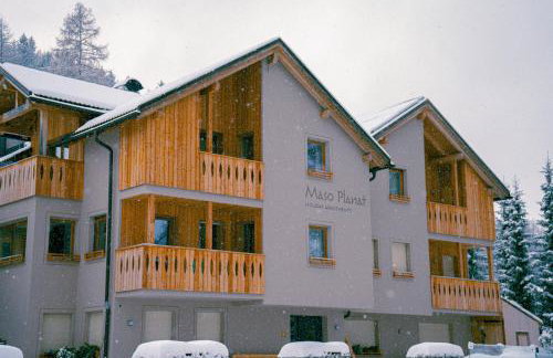Planat - Foto 13