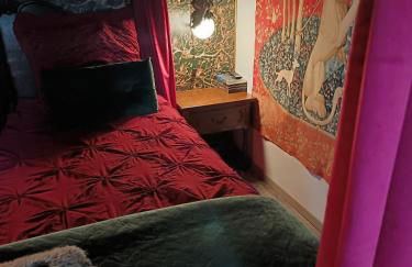 La Pensine du célèbre sorcier - Foto 24