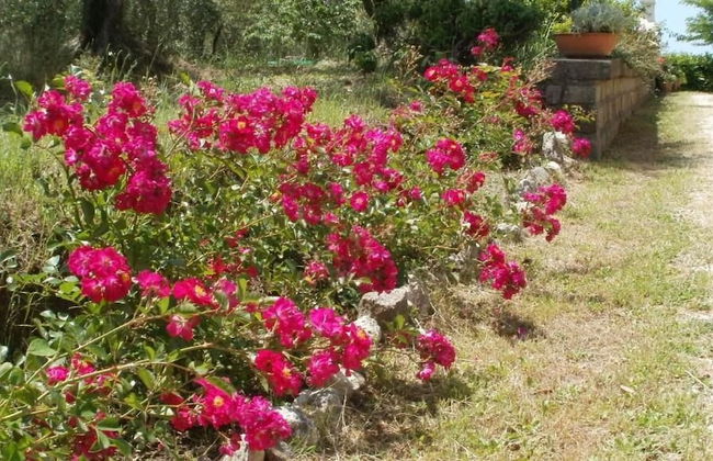 Agriturismo Le Quattro Stagioni - Foto 30