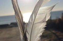 En plein cœur de l’Île d'Oléron, suite parentale. - Foto 20