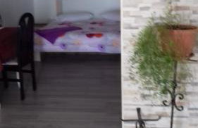 Apartmani Vesna - Foto 64