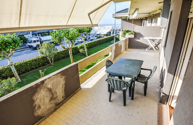 Green Marine, Palme, Ismare - Foto 3