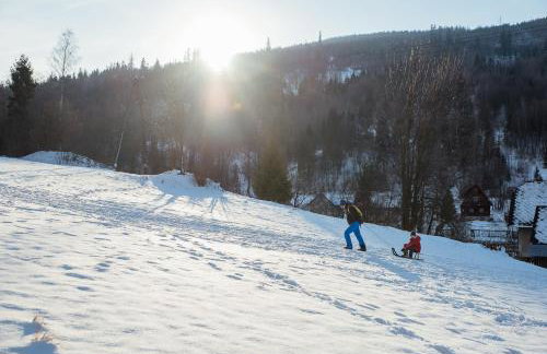 Górskie Siedlisko - 3 Chaty - Foto 69