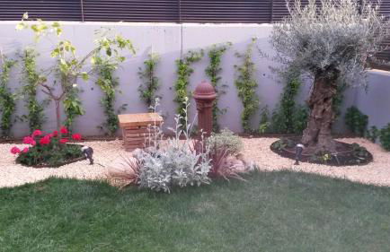 Poesia y Vino - Foto 22