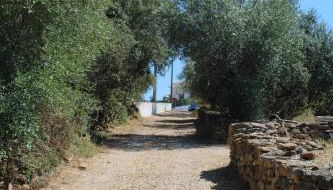 Casa dos Terranhos - Foto 4