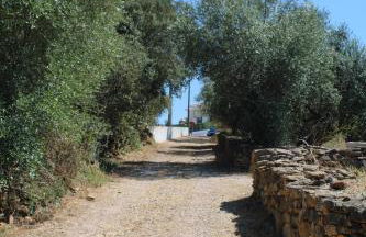 Casa dos Terranhos - Foto 4