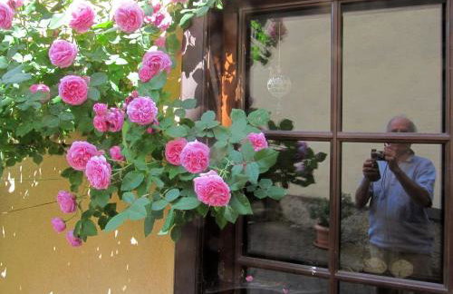 Plein Sud vue sur les Vosges et le vignoble - Foto 44