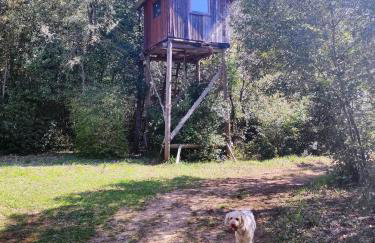 Casetta Olivetta - Foto 19