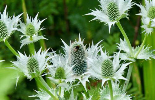 The Old Mill Annexe - Foto 75