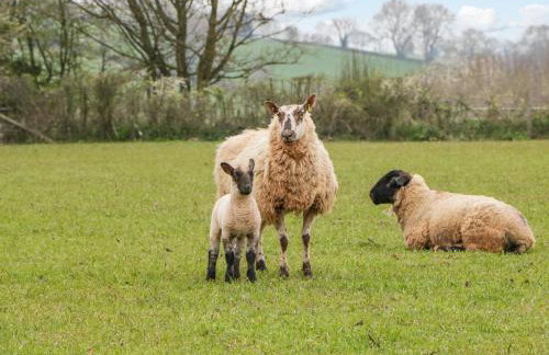 Orchard House - Photo 46