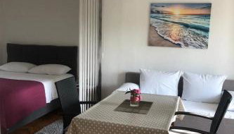 Grapevine Studio Apartment - Photo 3