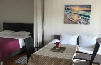 Grapevine Studio Apartment - Photo 3