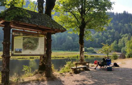 Landhaus-Apartment Feldbergblick - Foto 34