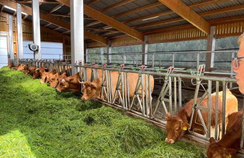 Ferienhof Rohrbachhof - Foto 4