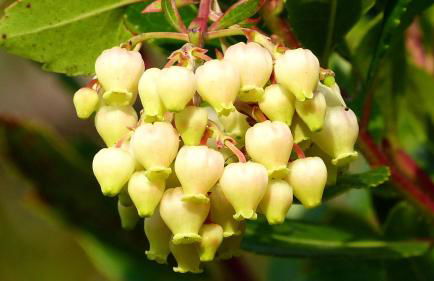 Casa vacanze Ester - Photo 57