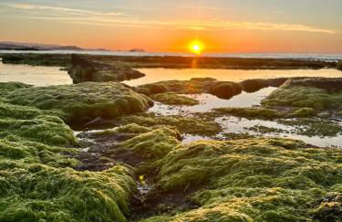 Apartamento DESA Laguna Beach Vera Playa - Foto 37