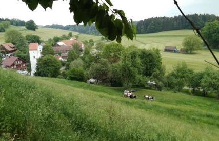 Ferienhof Broger FeWo Bergblickle mit Pool - Foto 63