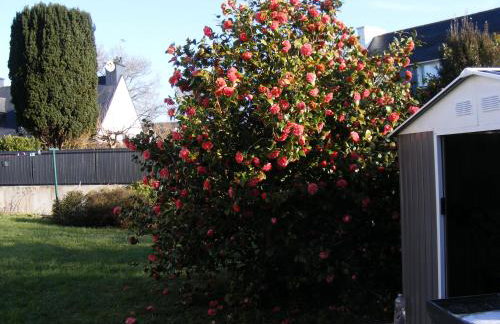 La Glycine - Foto 10