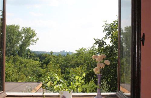 Cascina G appartamento tra i noccioli - Foto 19