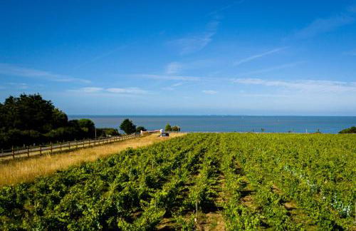 Eco-Domaine La Fontaine - RESIDENCE-SPA - 300 m Plage de la Fontaine aux Bretons - Foto 48