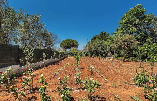 3059 Villa Sant`elia by Perle di Puglia - Foto 53