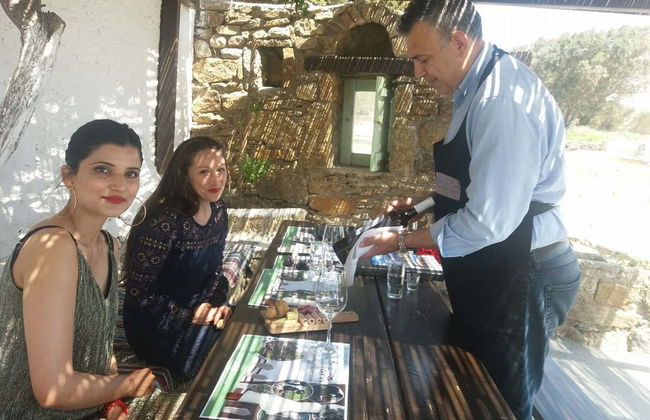 Cata de vinos en una granja de Mykonos - Foto 4