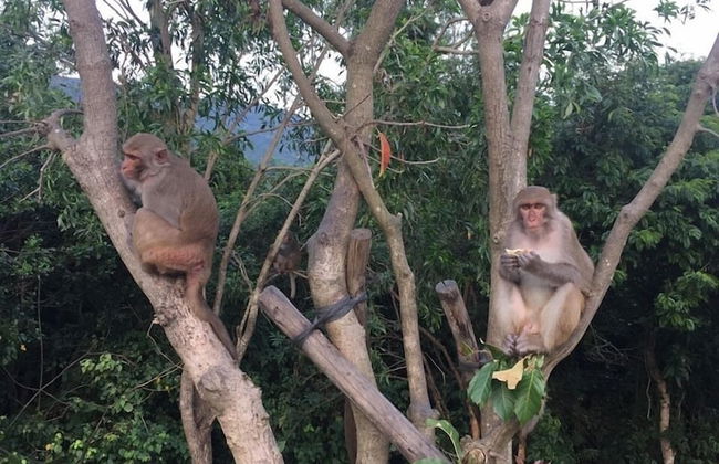 Nanu Garden House Boutique - Foto 67