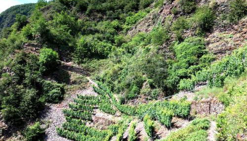 Ferienhaus MaLu in Bremm - Foto 4