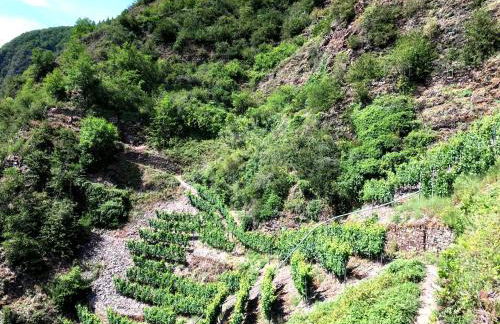 Ferienhaus MaLu in Bremm - Foto 4