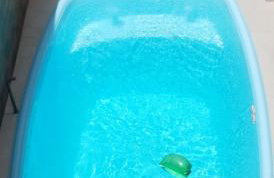 Casa Amarela da Prainha de Mambucaba - Piscina aquecida - Foto 9