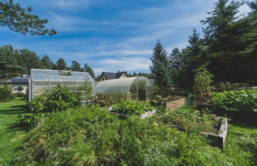 Leśna Enklawa - Foto 43