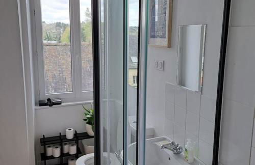 Lumière et Confort en Centre Ville - Foto 6