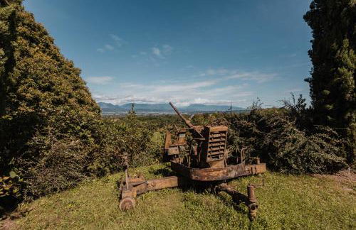 Agriturismo P rato Fiorito - Foto 47