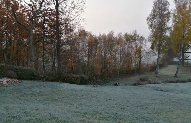 Holiday Home in Viroinval With Sauna - Foto 40