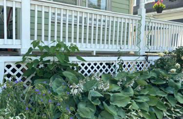 Boston Studio Apartment with Parking, next to Train or Buses, good Neighborhood - Foto 25