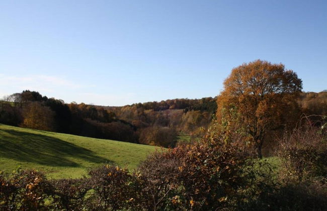 Chimay Nature Hideaway - Foto 30